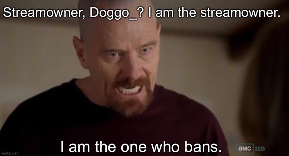 I am the one who knocks | Streamowner, Doggo_? I am the streamowner. I am the one who bans. | image tagged in i am the one who knocks | made w/ Imgflip meme maker