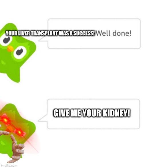 Duolingo 5 in a row | YOUR LIVER TRANSPLANT WAS A SUCCESS! GIVE ME YOUR KIDNEY! | image tagged in duolingo 5 in a row | made w/ Imgflip meme maker