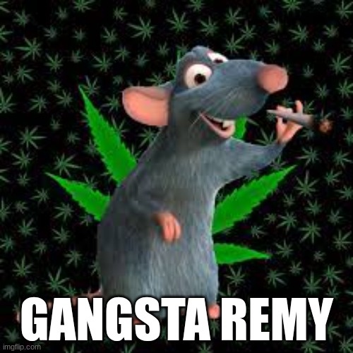 Gangsta Remy the rat | GANGSTA REMY | image tagged in ratatouille | made w/ Imgflip meme maker