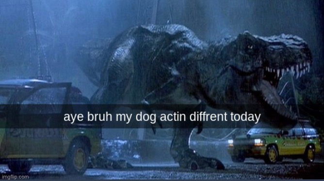 Her name is princess and she don’t bite :) | made w/ Imgflip meme maker