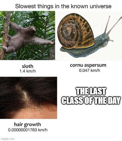 True | THE LAST CLASS OF THE DAY | image tagged in slowest things,school memes | made w/ Imgflip meme maker