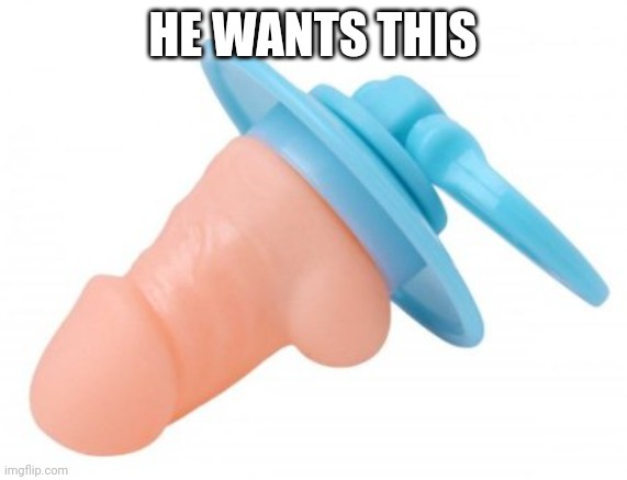 Penis Pacifier | HE WANTS THIS | image tagged in penis pacifier | made w/ Imgflip meme maker