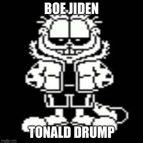 Don't ask how it's related (it's not) | BOE JIDEN; TONALD DRUMP | image tagged in sansfield | made w/ Imgflip meme maker