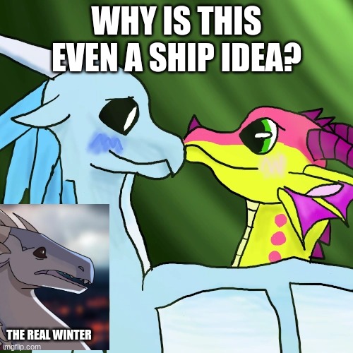 WHY?! | WHY IS THIS EVEN A SHIP IDEA? THE REAL WINTER | image tagged in wings of fire | made w/ Imgflip meme maker