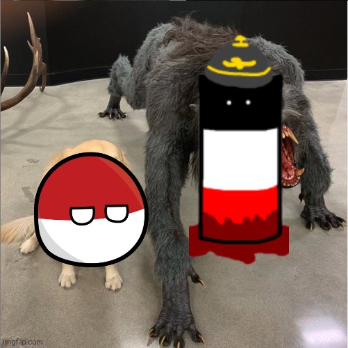 Polandball and Reictangle in Countryballs | image tagged in dog vs werewolf | made w/ Imgflip meme maker