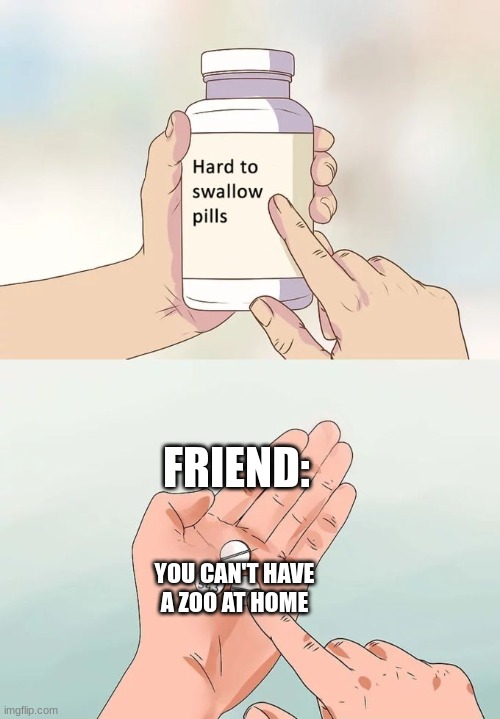 Hard To Swallow Pills Meme | FRIEND:; YOU CAN'T HAVE A ZOO AT HOME | image tagged in memes,hard to swallow pills | made w/ Imgflip meme maker