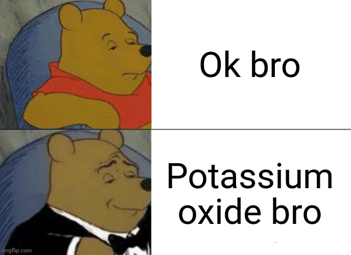 Winnie learned chemistry | Ok bro; Potassium oxide bro | image tagged in memes,tuxedo winnie the pooh | made w/ Imgflip meme maker