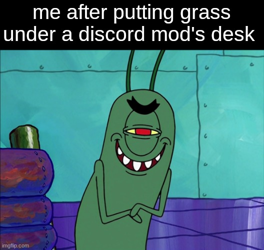 Them: WHAT THE ______ DID YOU DO?!?!?!?!?!?!??! | me after putting grass under a discord mod's desk | image tagged in scheming plankton | made w/ Imgflip meme maker