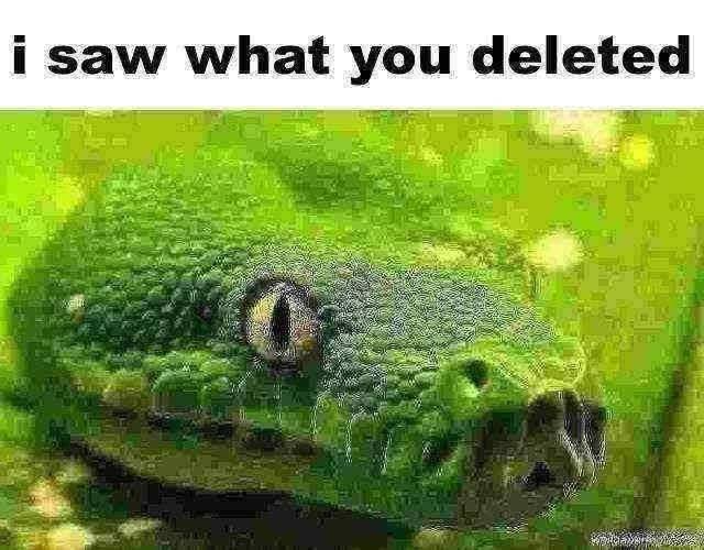 High Quality snake saw what you deleted Blank Meme Template