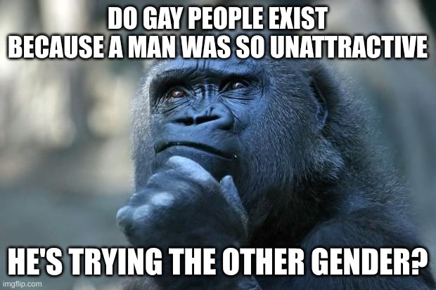 Deep Thoughts | DO GAY PEOPLE EXIST BECAUSE A MAN WAS SO UNATTRACTIVE; HE'S TRYING THE OTHER GENDER? | image tagged in deep thoughts | made w/ Imgflip meme maker