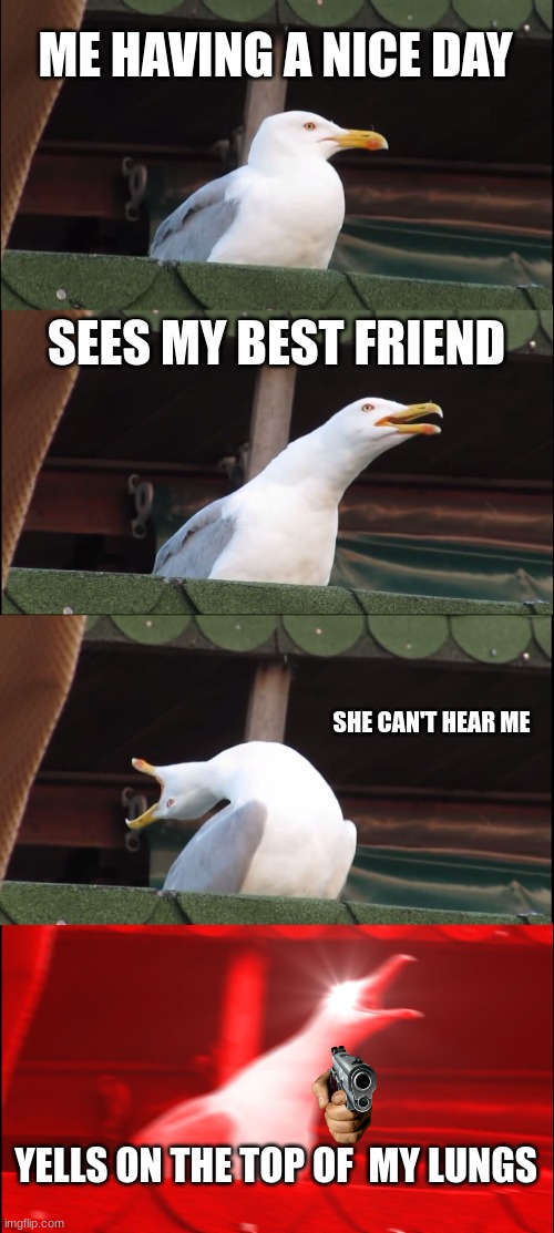 Inhaling Seagull Meme | ME HAVING A NICE DAY; SEES MY BEST FRIEND; SHE CAN'T HEAR ME; YELLS ON THE TOP OF  MY LUNGS | image tagged in memes,inhaling seagull | made w/ Imgflip meme maker