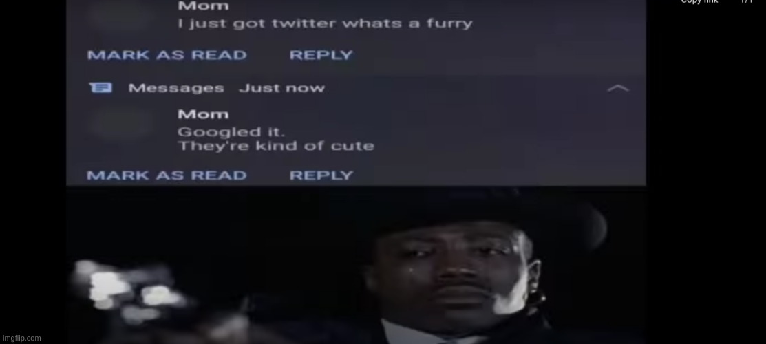 is this anti furry? | image tagged in f | made w/ Imgflip meme maker