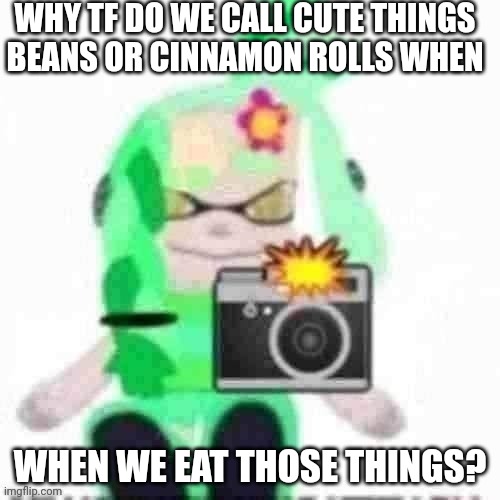 Bruh | WHY TF DO WE CALL CUTE THINGS BEANS OR CINNAMON ROLLS WHEN; WHEN WE EAT THOSE THINGS? | image tagged in mint catches you in 4k | made w/ Imgflip meme maker