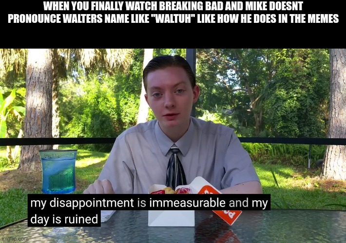 he actually uses the R | WHEN YOU FINALLY WATCH BREAKING BAD AND MIKE DOESNT PRONOUNCE WALTERS NAME LIKE "WALTUH" LIKE HOW HE DOES IN THE MEMES | image tagged in my disappointment is immeasurable | made w/ Imgflip meme maker
