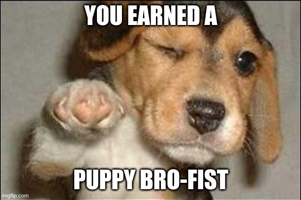good job dog | YOU EARNED A PUPPY BRO-FIST | image tagged in good job dog | made w/ Imgflip meme maker