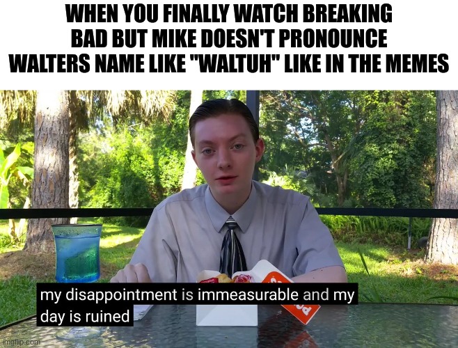 sorry to disappoint | WHEN YOU FINALLY WATCH BREAKING BAD BUT MIKE DOESN'T PRONOUNCE WALTERS NAME LIKE "WALTUH" LIKE IN THE MEMES | image tagged in my disappointment is immeasurable,breaking news | made w/ Imgflip meme maker