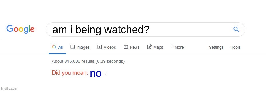 no. |  am i being watched? no | image tagged in did you mean,funny | made w/ Imgflip meme maker