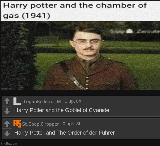 new book series out right now! | image tagged in harry potter,ww2,nazi,lmao | made w/ Imgflip meme maker