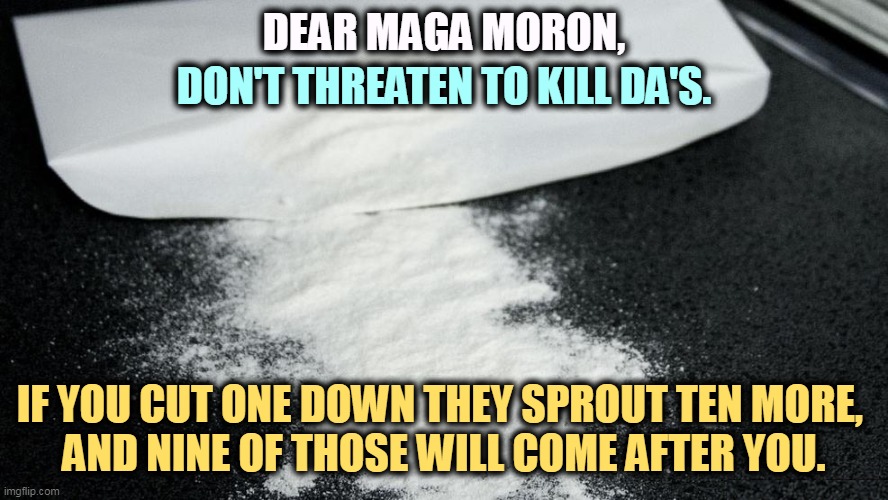 The number of Trump fans who are morons is higher than you may want to admit. | DEAR MAGA MORON, DON'T THREATEN TO KILL DA'S. IF YOU CUT ONE DOWN THEY SPROUT TEN MORE, 
AND NINE OF THOSE WILL COME AFTER YOU. | image tagged in trump,fans,morons,stupid,threats | made w/ Imgflip meme maker