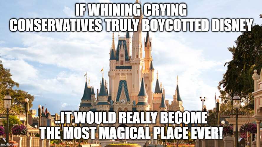 Disney world | IF WHINING CRYING CONSERVATIVES TRULY BOYCOTTED DISNEY; ..IT WOULD REALLY BECOME THE MOST MAGICAL PLACE EVER! | image tagged in disney world | made w/ Imgflip meme maker