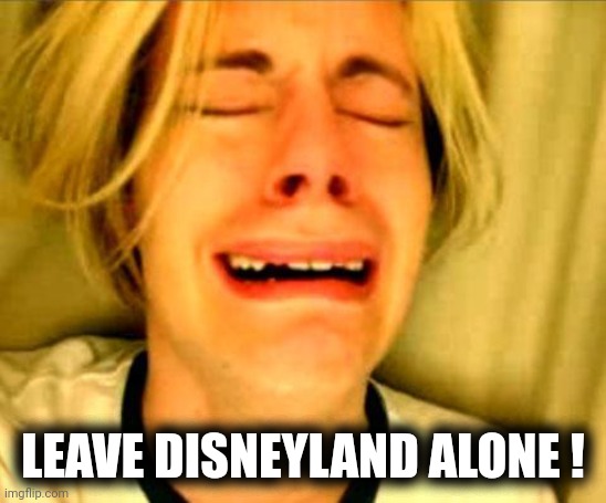 Leave Britney Alone | LEAVE DISNEYLAND ALONE ! | image tagged in leave britney alone | made w/ Imgflip meme maker