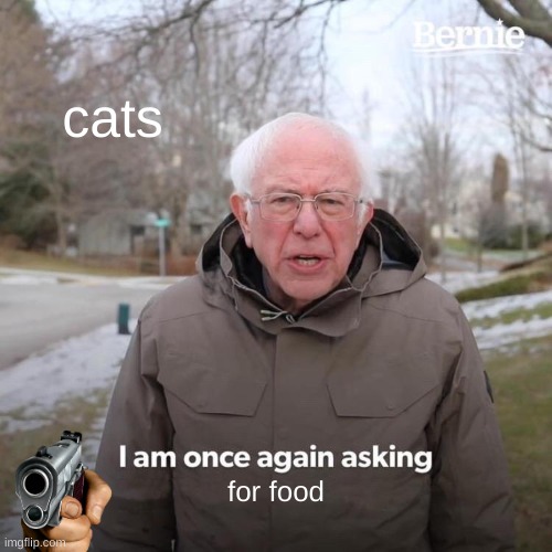 Bernie I Am Once Again Asking For Your Support | cats; for food | image tagged in memes,bernie i am once again asking for your support | made w/ Imgflip meme maker
