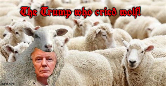 They are coming after you! | The Trump who cried wolf! | image tagged in donald trump,wolf in sheeps clothing,boy who cried wolf,sheep,maga,sheeple | made w/ Imgflip meme maker