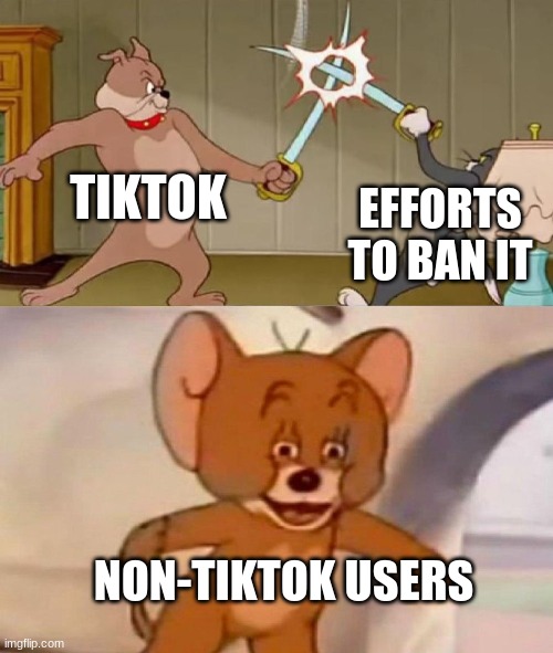 just get banned | TIKTOK; EFFORTS TO BAN IT; NON-TIKTOK USERS | image tagged in tom and jerry swordfight | made w/ Imgflip meme maker