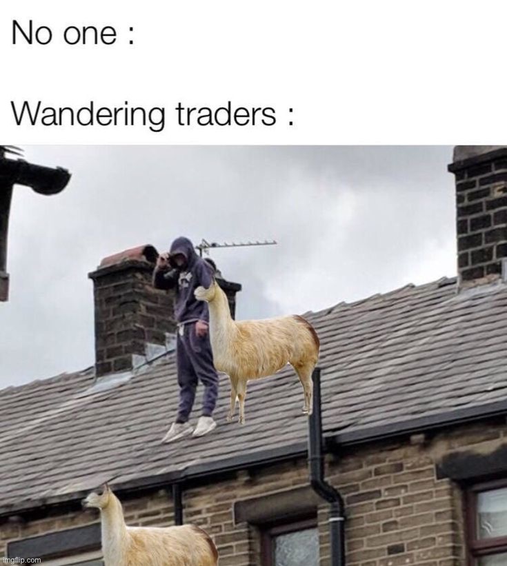 image tagged in memes | made w/ Imgflip meme maker