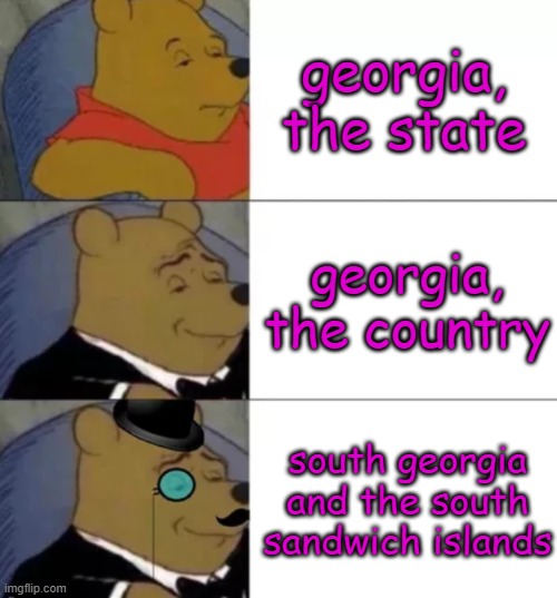 we are FANCY AF | georgia, the state; georgia, the country; south georgia and the south sandwich islands | image tagged in fancy pooh,georgia,country,island,funy,mems | made w/ Imgflip meme maker