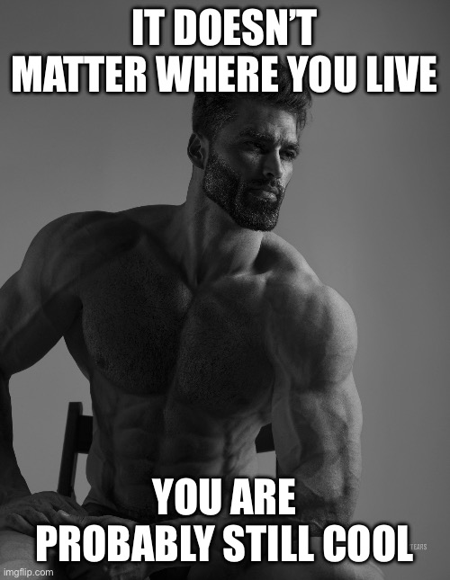 Giga Chad | IT DOESN’T MATTER WHERE YOU LIVE YOU ARE PROBABLY STILL COOL | image tagged in giga chad | made w/ Imgflip meme maker