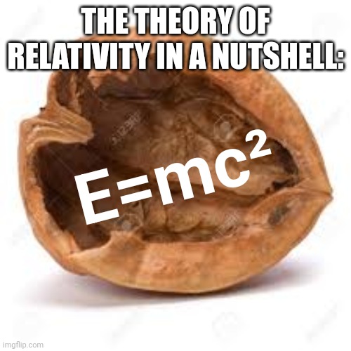 In a nut shell | THE THEORY OF RELATIVITY IN A NUTSHELL:; E=mc² | image tagged in in a nutshell | made w/ Imgflip meme maker