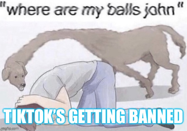 Where are my balls | TIKTOK’S GETTING BANNED | image tagged in where are my balls | made w/ Imgflip meme maker