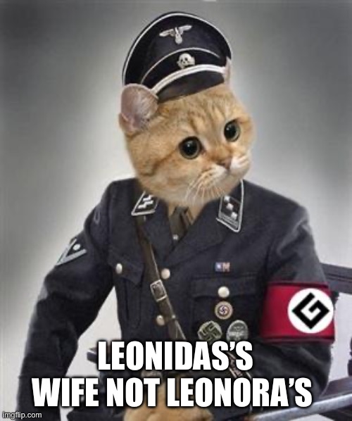 grammar nazi cat | LEONIDAS’S WIFE NOT LEONORA’S | image tagged in grammar nazi cat | made w/ Imgflip meme maker