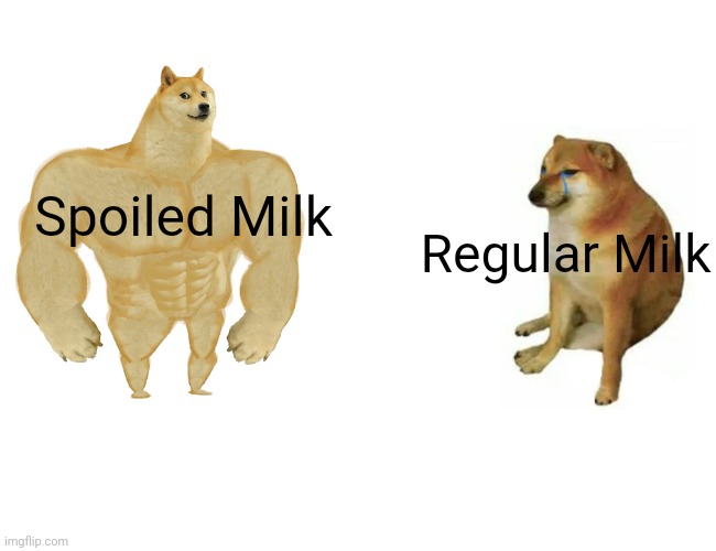 Ffssfghhh | Spoiled Milk; Regular Milk | image tagged in memes,buff doge vs cheems | made w/ Imgflip meme maker