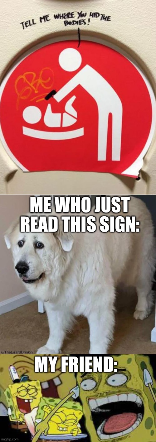 I’m sorry what? | ME WHO JUST READ THIS SIGN:; MY FRIEND: | image tagged in scared dog,cursed image,cursed,funny memes | made w/ Imgflip meme maker