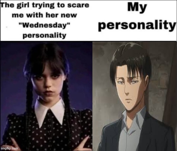 They both have black hair | image tagged in the girl trying to scare me with her new wednesday personality,levi,snk,aot,attack on titan | made w/ Imgflip meme maker
