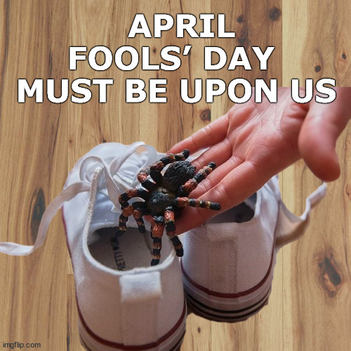 April Fools’ Day Must Be Upon Us | image tagged in april fools,april fools day,tarantula,funny,memes,practical jokes | made w/ Imgflip meme maker