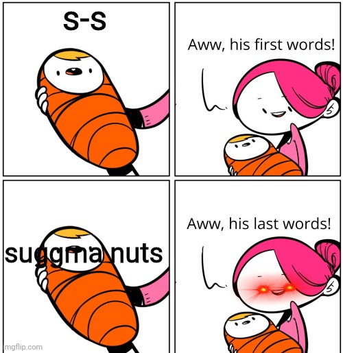 Aww, His Last Words | s-s; suggma nuts | image tagged in aww his last words | made w/ Imgflip meme maker