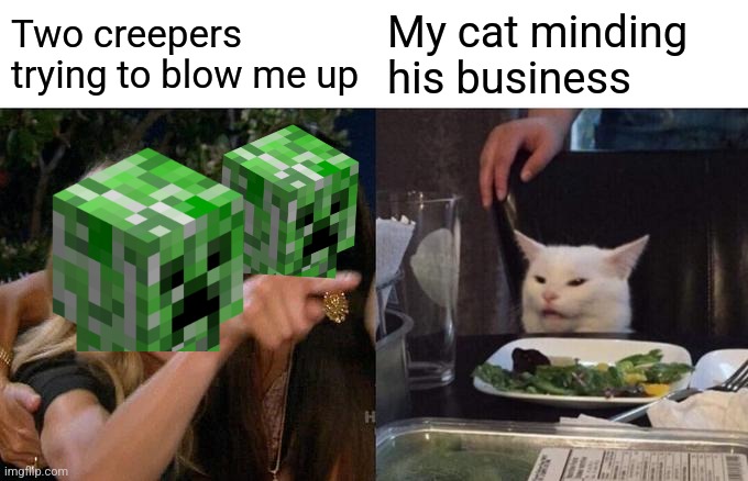"Cats show creepers who's boss!" | Two creepers trying to blow me up; My cat minding his business | image tagged in memes,woman yelling at cat,creeper,cats,minecraft | made w/ Imgflip meme maker