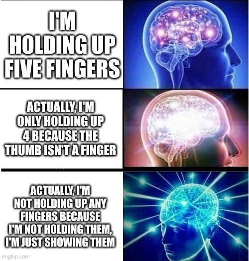 Fingers | I'M HOLDING UP FIVE FINGERS; ACTUALLY, I'M ONLY HOLDING UP 4 BECAUSE THE THUMB ISN'T A FINGER; ACTUALLY, I'M NOT HOLDING UP ANY FINGERS BECAUSE I'M NOT HOLDING THEM, I'M JUST SHOWING THEM | image tagged in expanding brain 3 panels | made w/ Imgflip meme maker