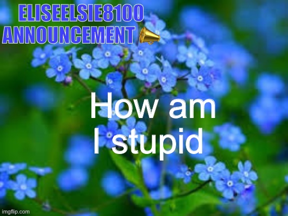 EliseElsie8100 Announcement | How am I stupid | image tagged in eliseelsie8100 announcement | made w/ Imgflip meme maker