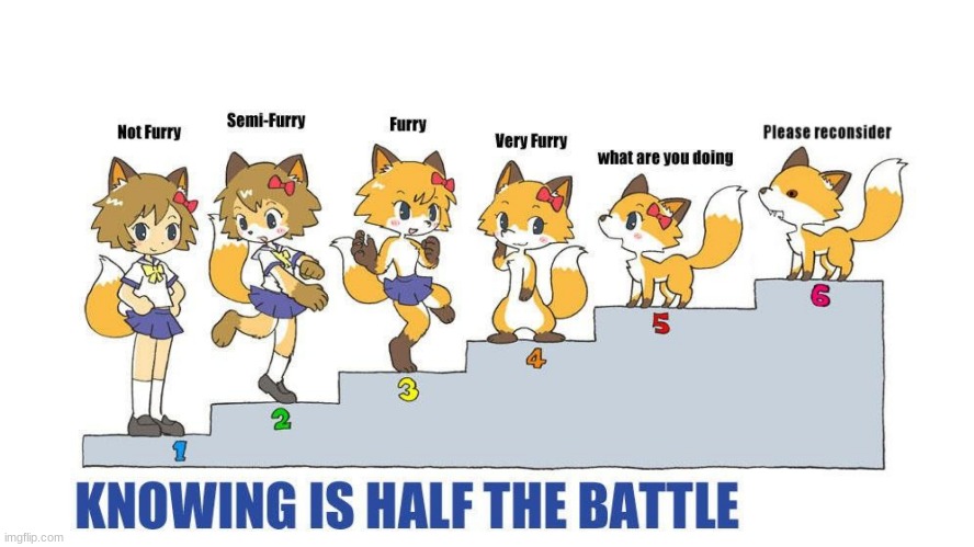 knowing is half the battle | image tagged in furry memes | made w/ Imgflip meme maker
