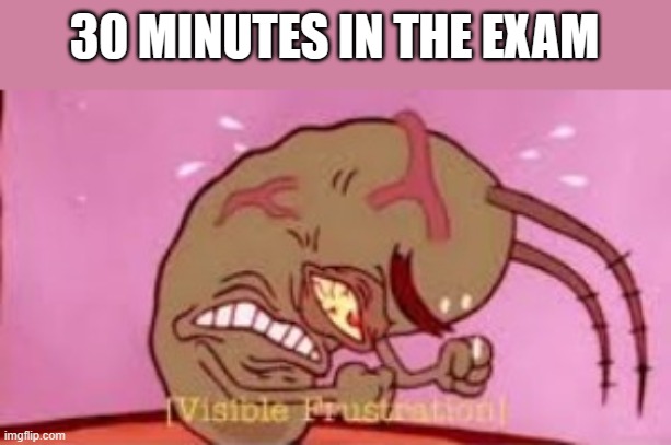 Visible Frustration | 30 MINUTES IN THE EXAM | image tagged in visible frustration | made w/ Imgflip meme maker