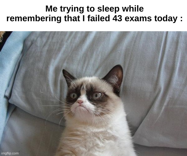 :( | Me trying to sleep while remembering that I failed 43 exams today : | image tagged in memes,grumpy cat bed,grumpy cat | made w/ Imgflip meme maker