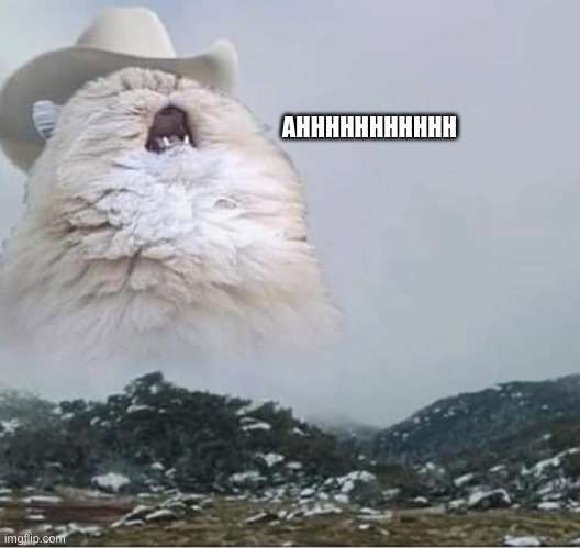I can't get the song off my head | AHHHHHHHHHHH | image tagged in country roads cat | made w/ Imgflip meme maker