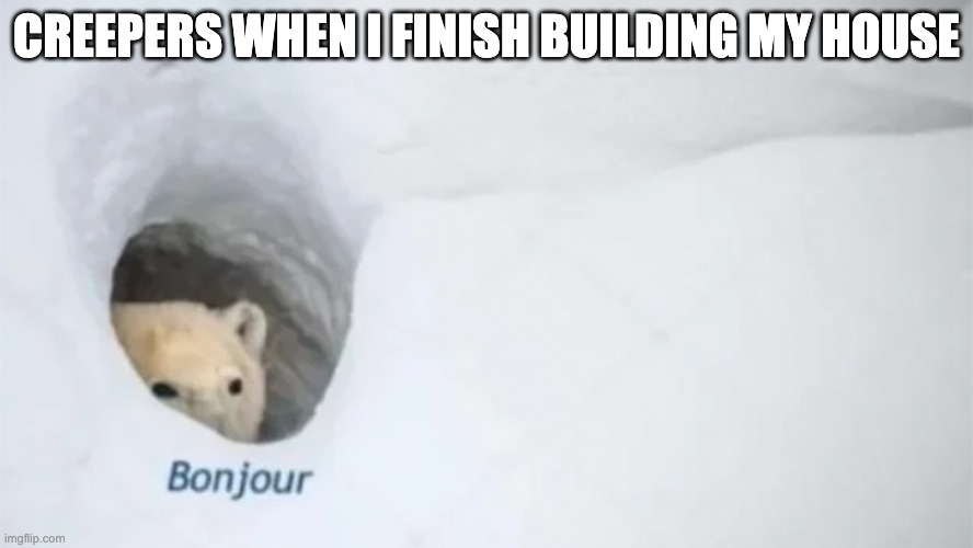 creepers | CREEPERS WHEN I FINISH BUILDING MY HOUSE | image tagged in bonjur | made w/ Imgflip meme maker