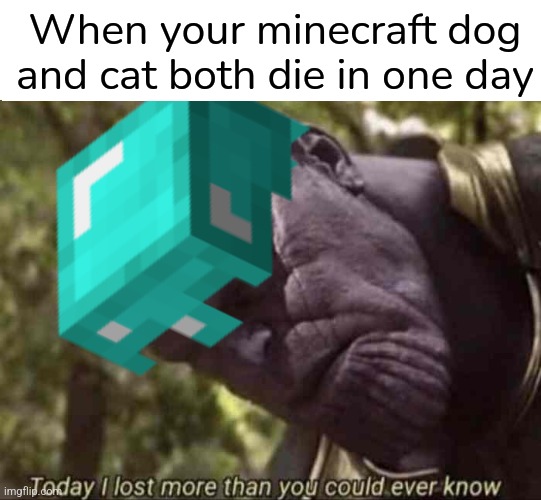 Rip :( | When your minecraft dog and cat both die in one day | image tagged in today i have lost more than you could ever know,rip,minecraft,dogs,cats | made w/ Imgflip meme maker