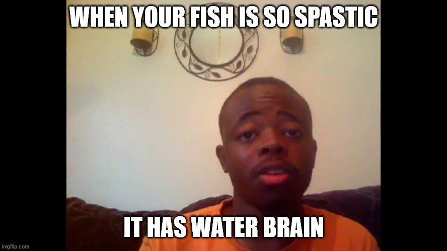 Stetson the Pedo Fish | WHEN YOUR FISH IS SO SPASTIC; IT HAS WATER BRAIN | image tagged in pedofish | made w/ Imgflip meme maker