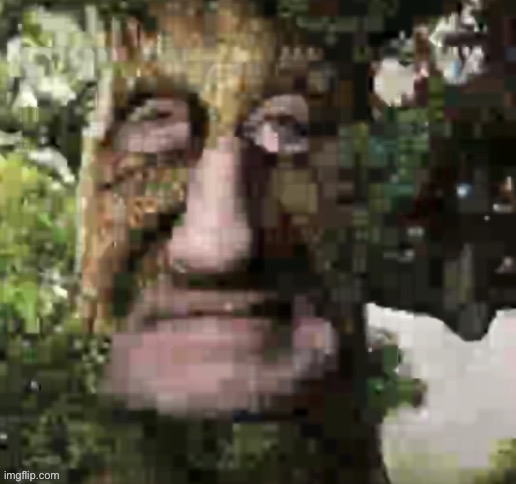 The finger named tree: | made w/ Imgflip meme maker